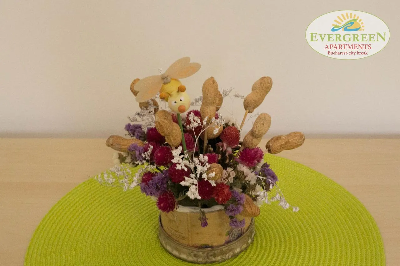 Hotel Evergreen Romarta Bukarest Apartment