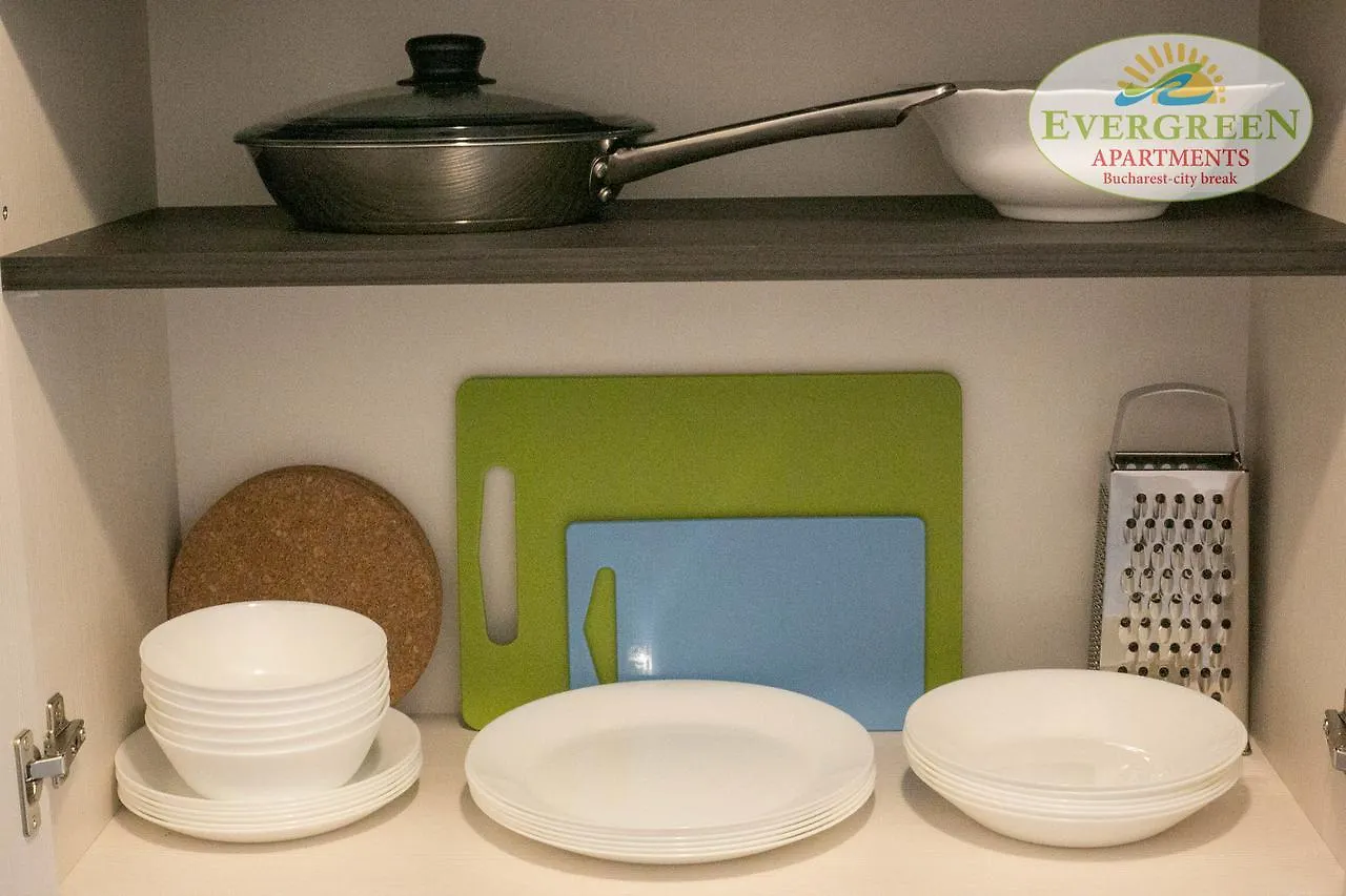 Apartment Evergreen Romarta Hotel Bucharest