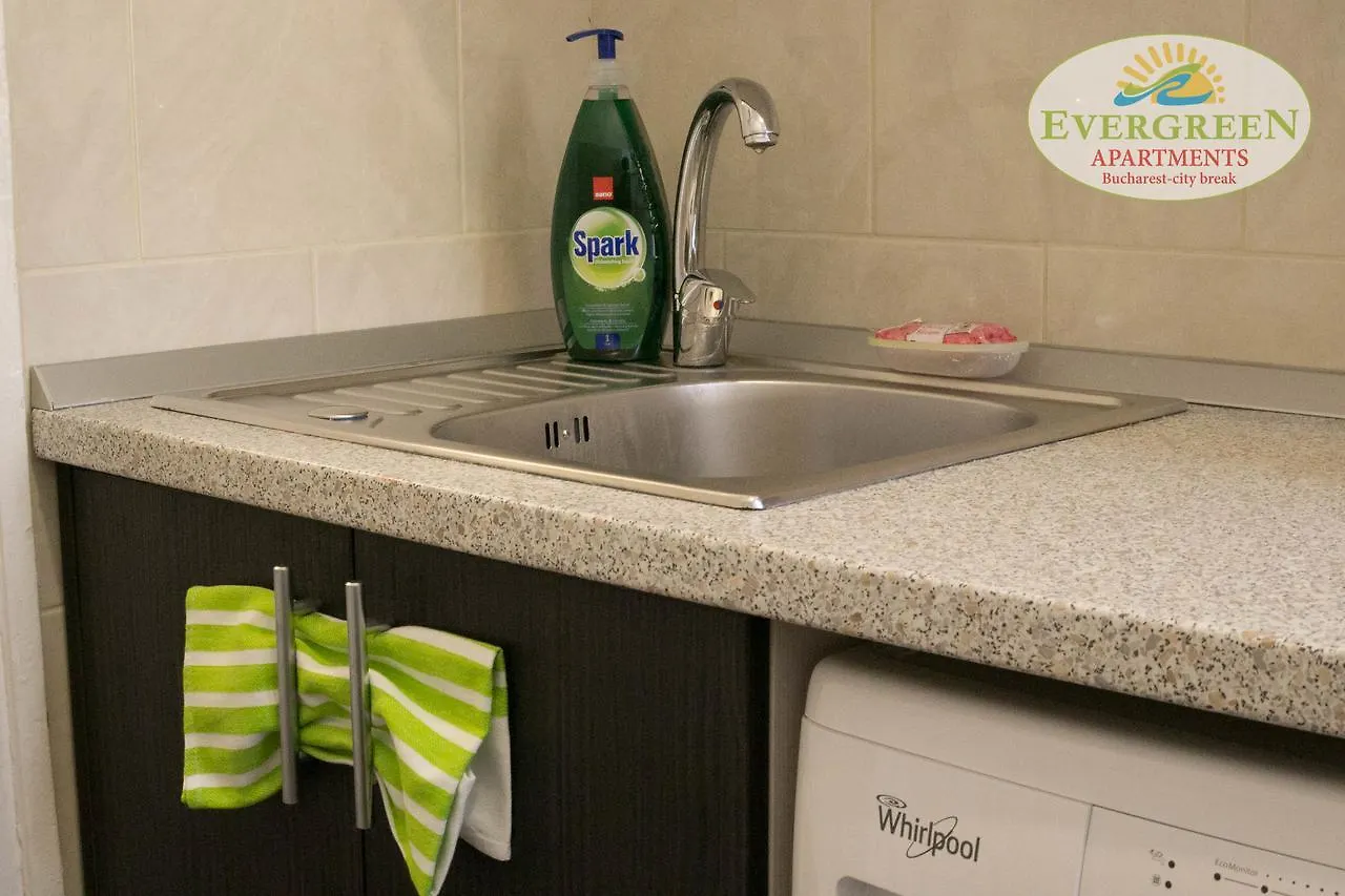 Evergreen Romarta Hotel Bucharest 0*,