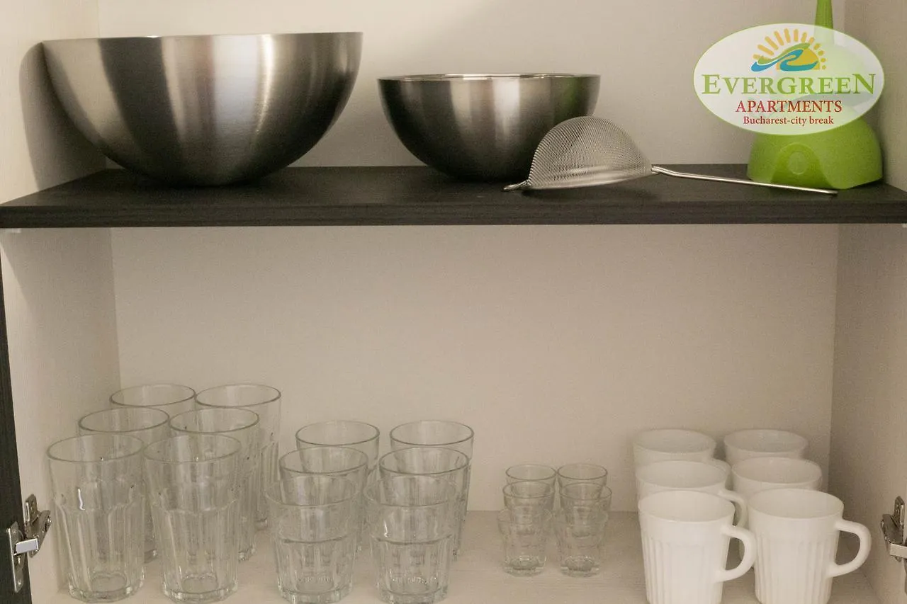 Evergreen Romarta Hotel Bucharest Apartment